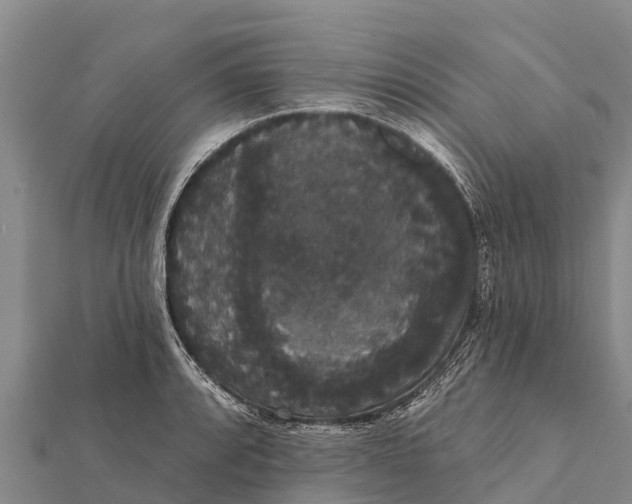 X0000112001088200908241428