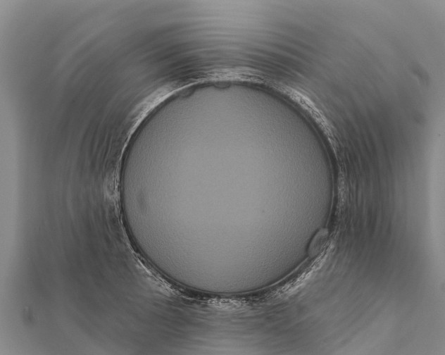 X0000112001089200908241428