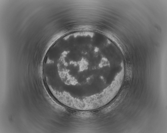 X0000112001090200908241428