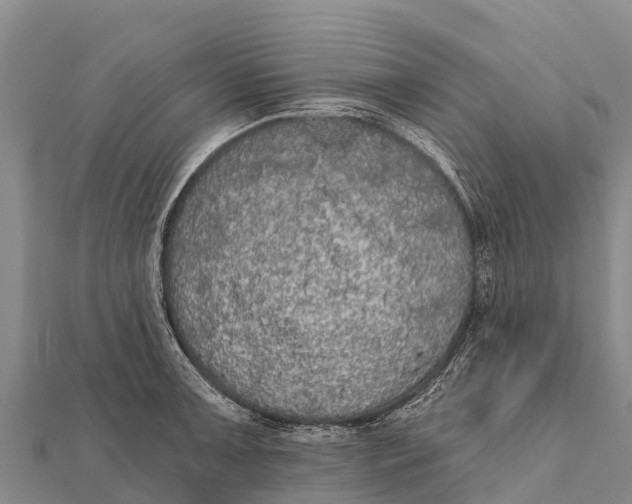 X0000112001091200908241428