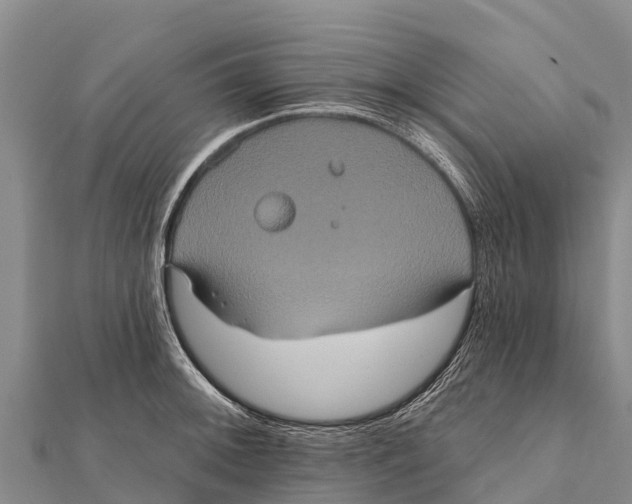 X0000112001092200908241428