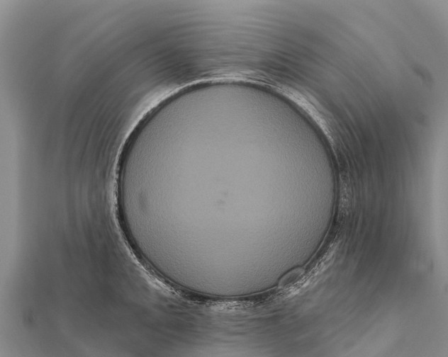 X0000112001093200908241428