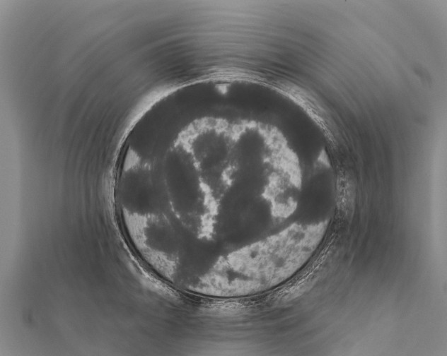 X0000112001094200908241428