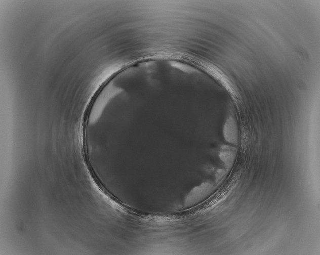 X0000112001095200908241428