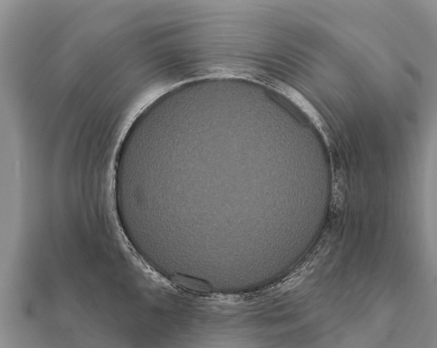 X0000112001096200908241428