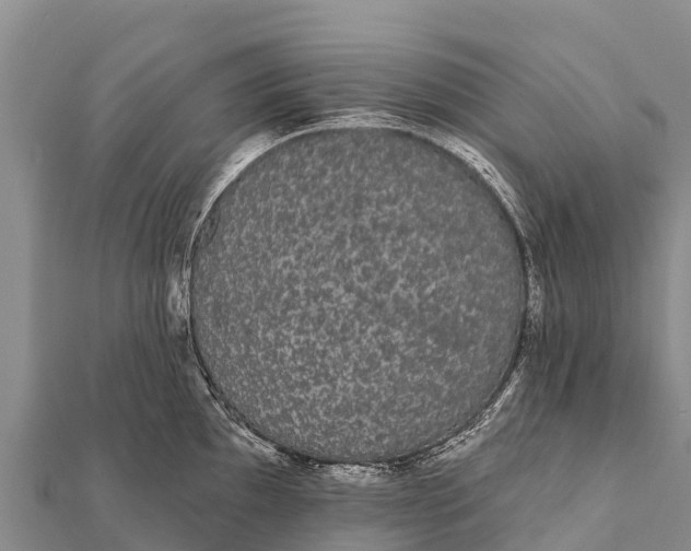 X0000112001097200908241428