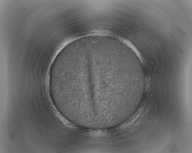 X0000112001099200908241428