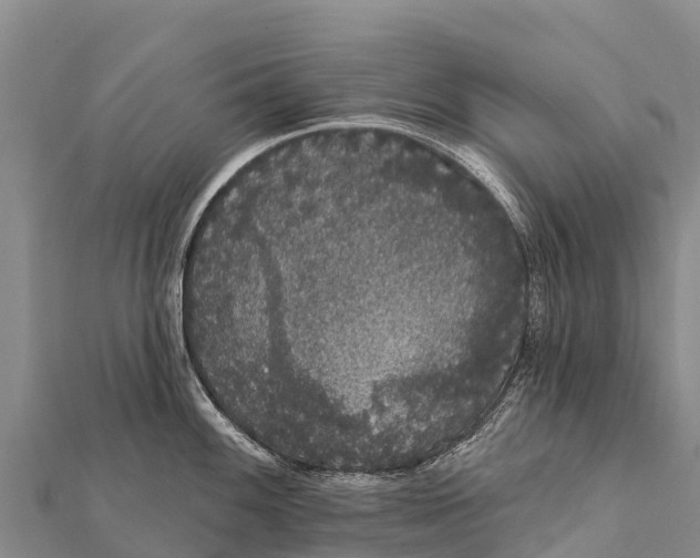 X0000112001100200908241428