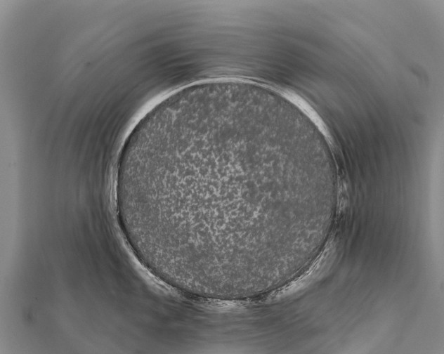 X0000112001101200908241428