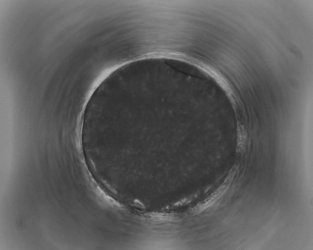 X0000112001102200908241428