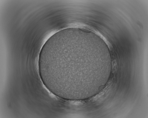 X0000112001103200908241428