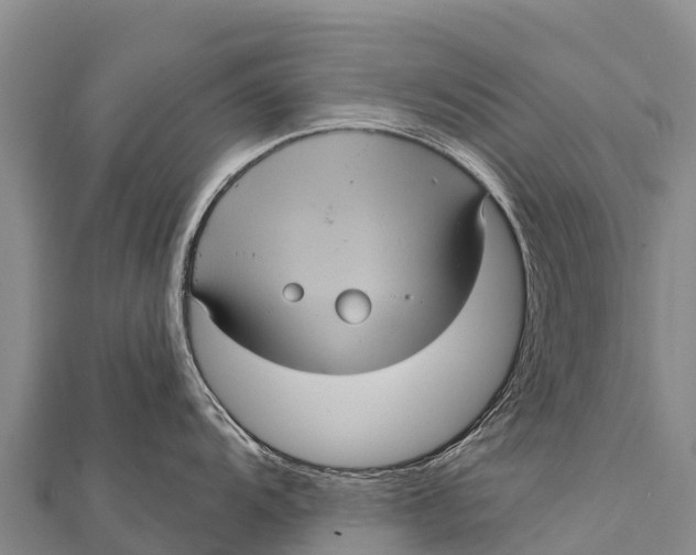 X0000112001104200908241428