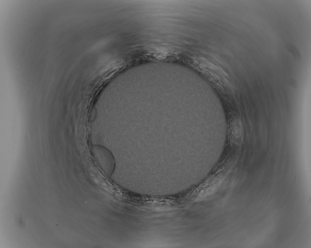 X0000112001105200908241427