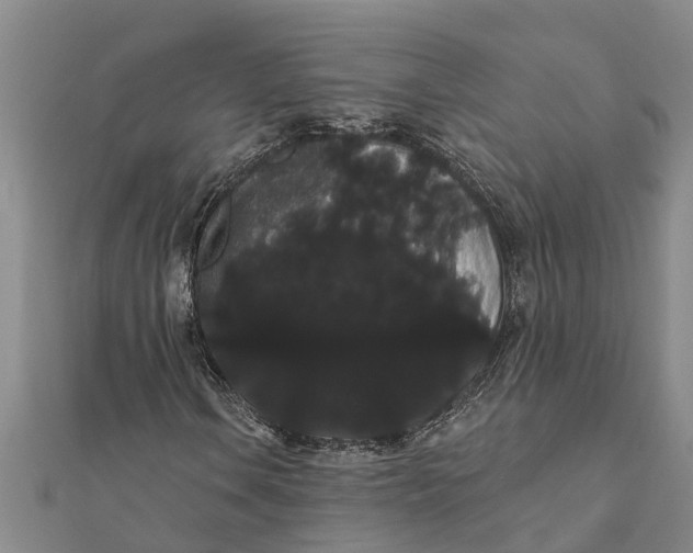 X0000112001106200908241427