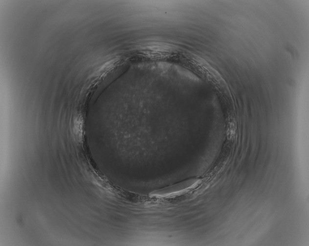 X0000112001108200908241427