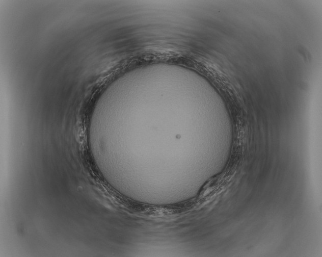 X0000112001109200908241427