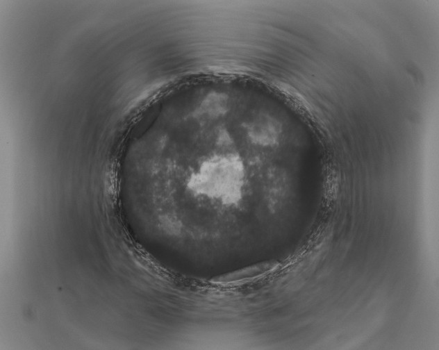 X0000112001110200908241427