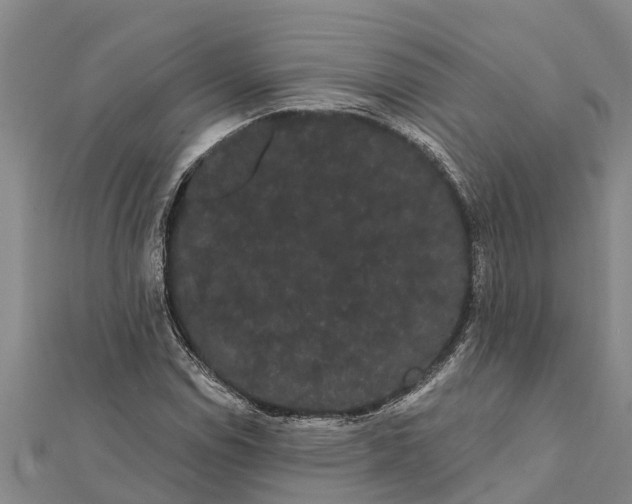 X0000112001114200908241427