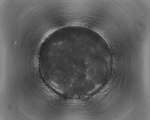 X0000112001115200908241427