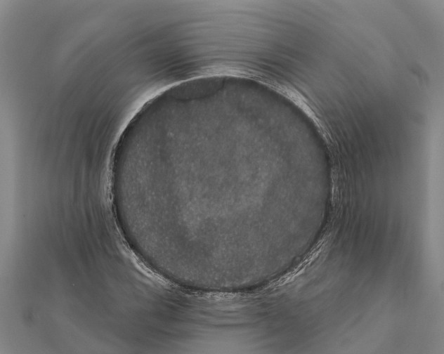 X0000112001116200908241427