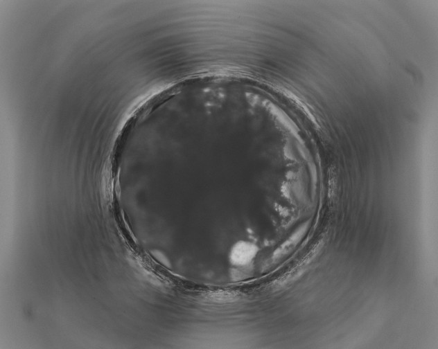 X0000112001117200908241427