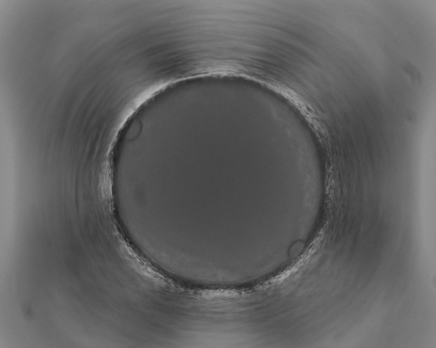 X0000112001118200908241427