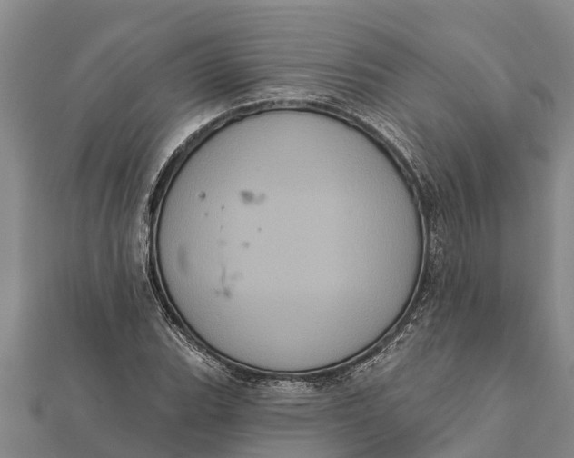 X0000112001119200908241427