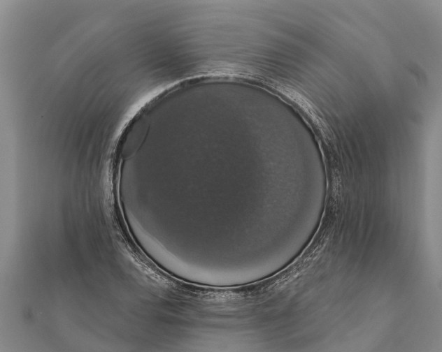 X0000112001120200908241427