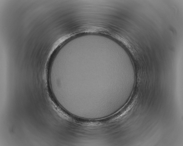 X0000112001122200908241427