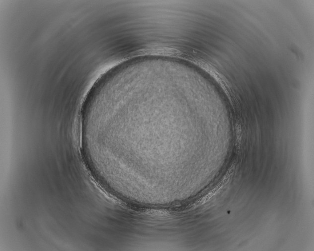 X0000112001123200908241427