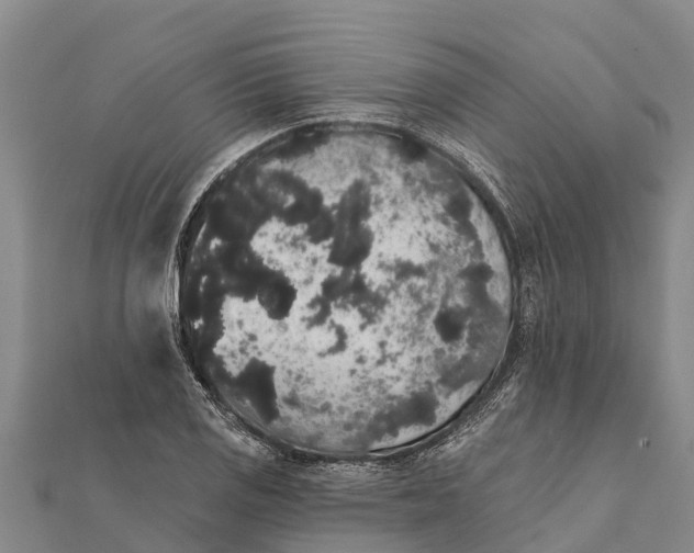 X0000112001125200908241427