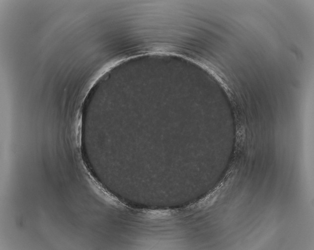 X0000112001126200908241427