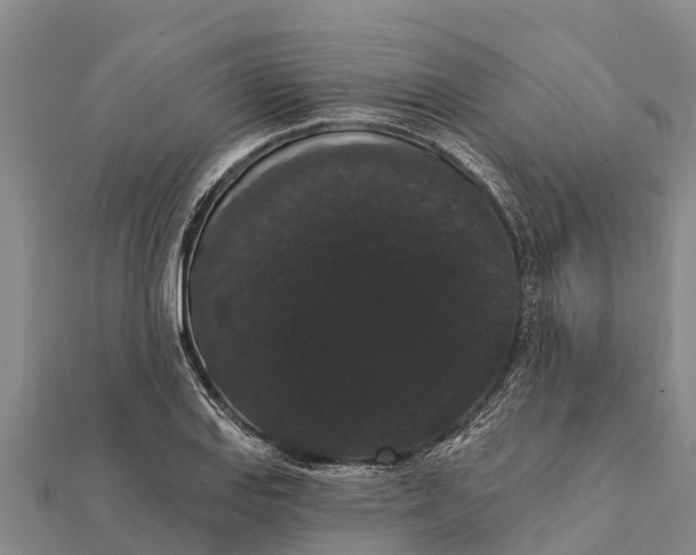 X0000112001127200908241427