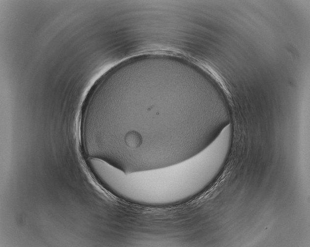 X0000112001128200908241427