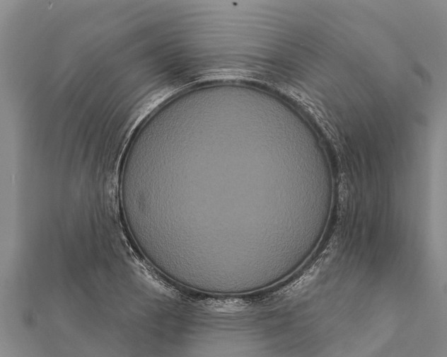 X0000112001129200908241427