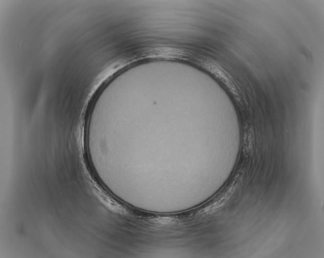 X0000112001130200908241427