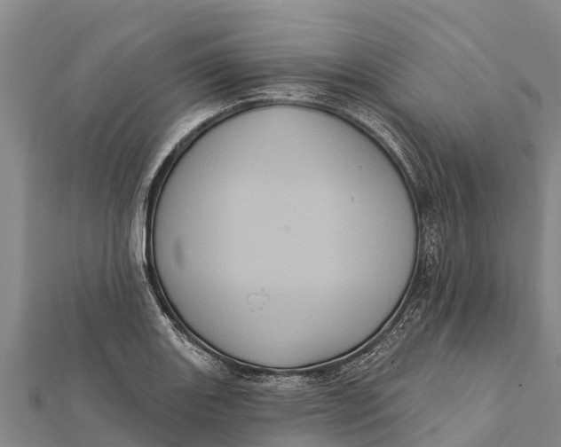 X0000112001131200908241427