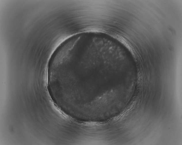 X0000112001132200908241427