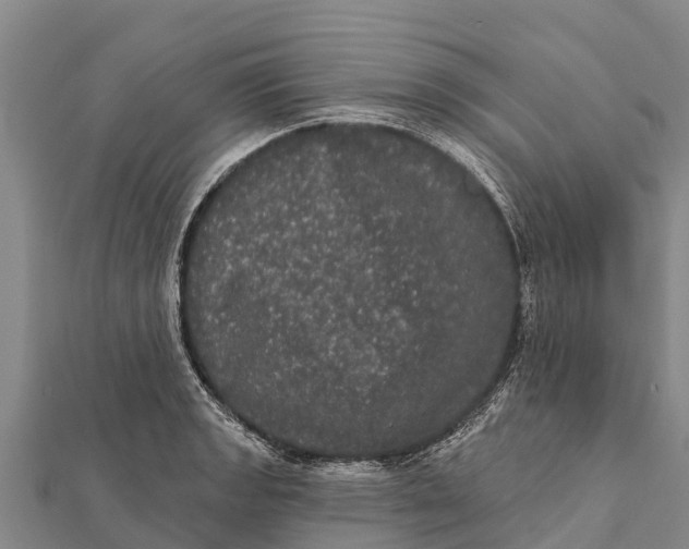 X0000112001133200908241427