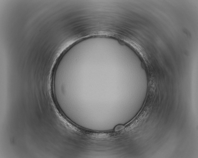 X0000112001135200908241427