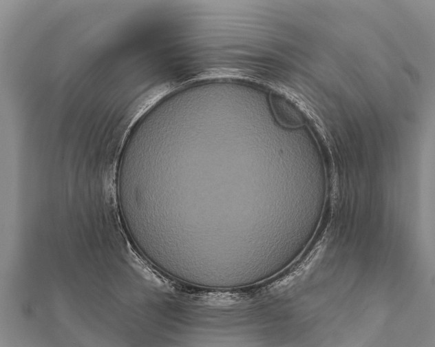 X0000112001137200908241427