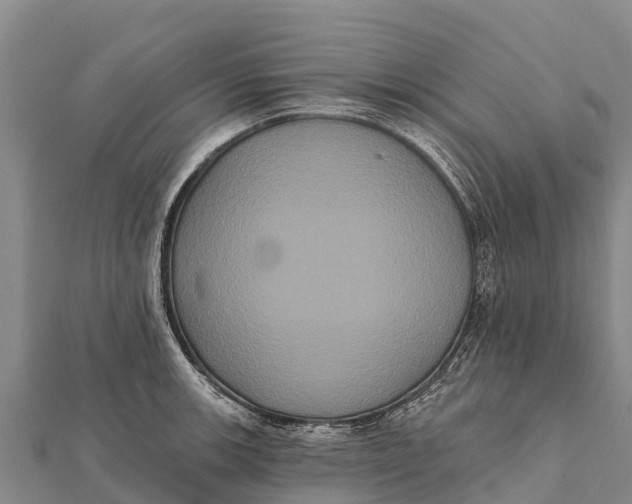 X0000112001139200908241427