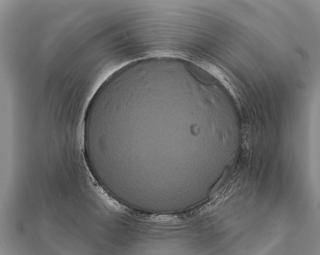 X0000112001140200908241427