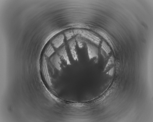 X0000112001141200908241427