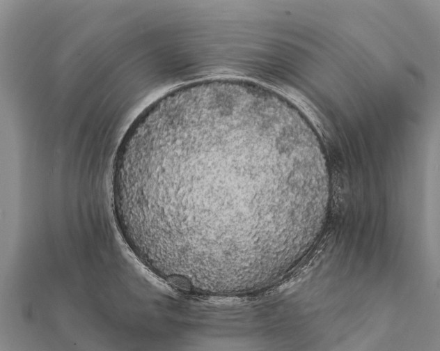 X0000112001142200908241427