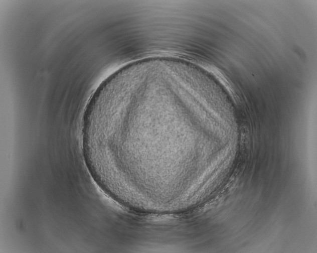 X0000112001143200908241427