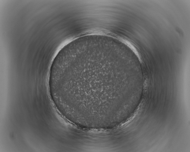 X0000112001146200908241427