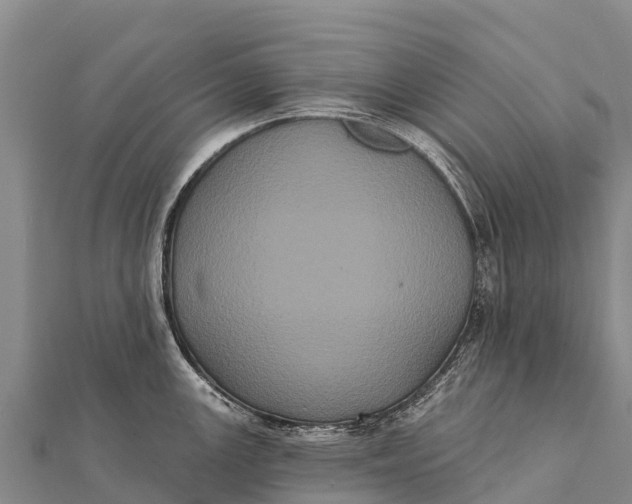 X0000112001147200908241427