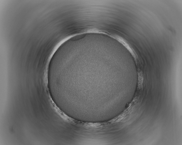 X0000112001148200908241427