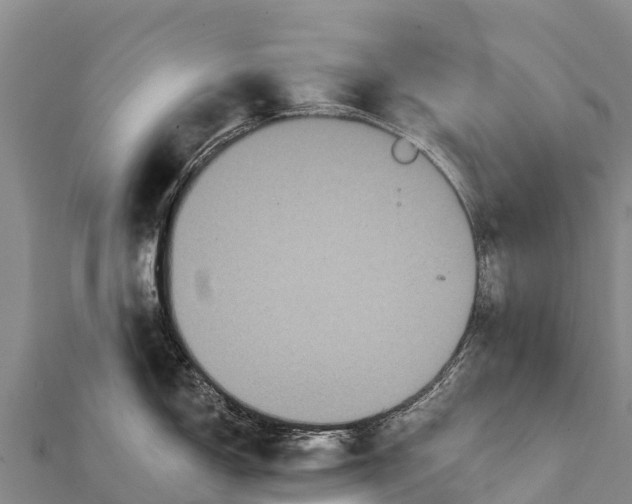 X0000112001150200908241427